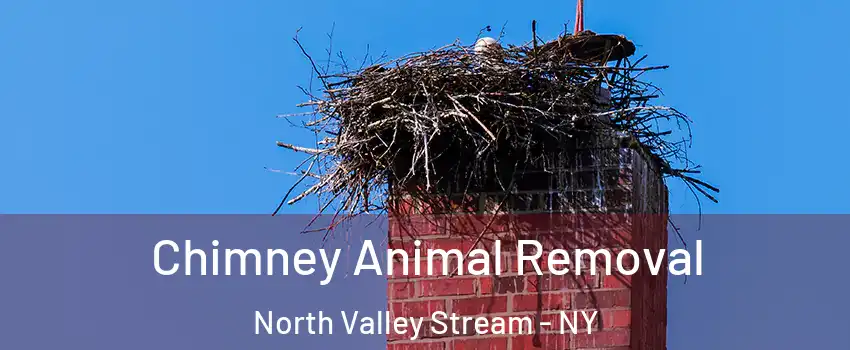  Chimney Animal Removal North Valley Stream - NY