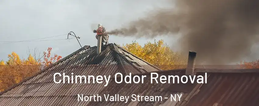  Chimney Odor Removal North Valley Stream - NY