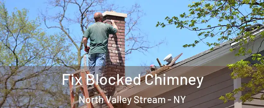 Fix Blocked Chimney North Valley Stream - NY