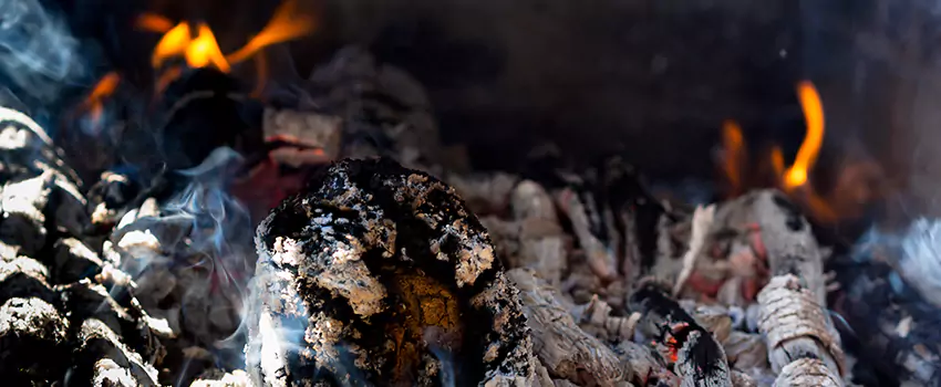 Creosote Removal Experts in North Valley Stream, NY