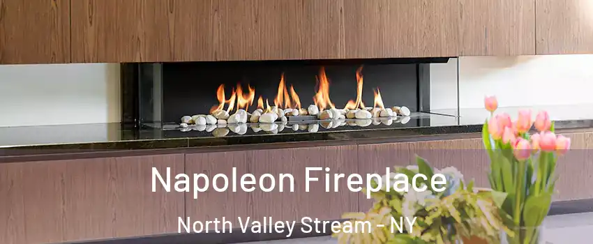  Napoleon Fireplace North Valley Stream - NY